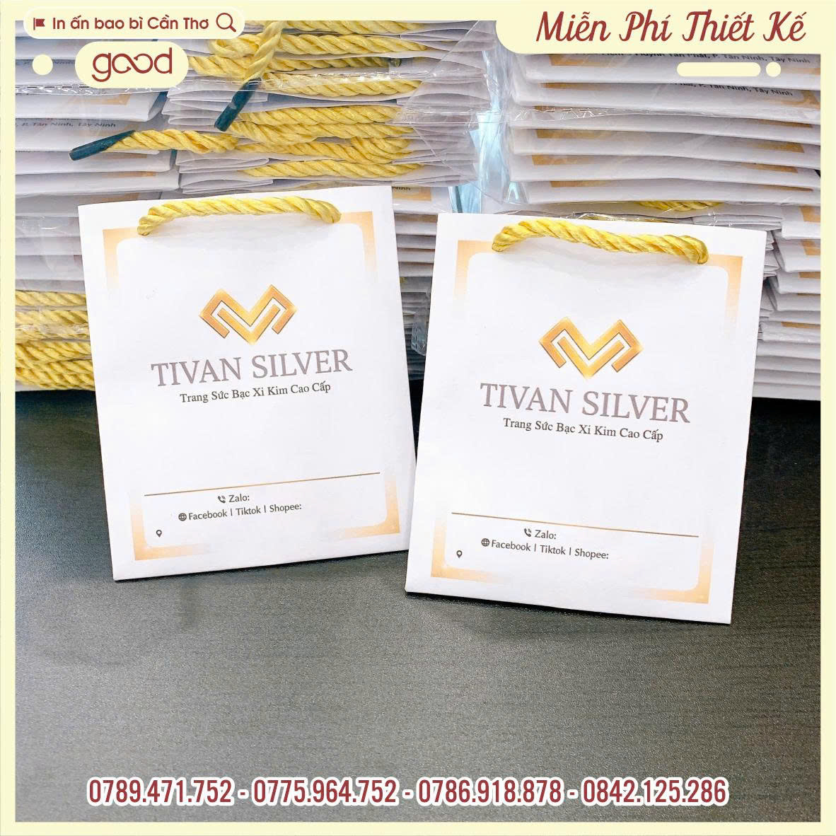 IN TÚI GIẤY TIỆM VÀNG